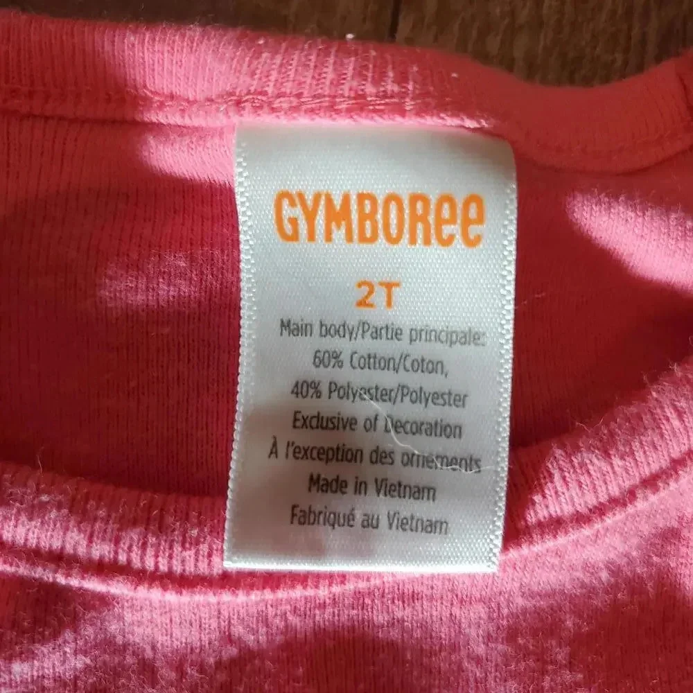 Carter's & Gymboree Baby Toddler Girl Clothing Bundle Size 24M 2T
